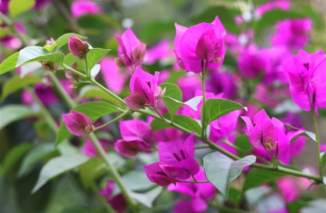 流放之路好听的游戏名字