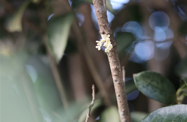 帅气又可爱的网名 帅气又可爱的网名