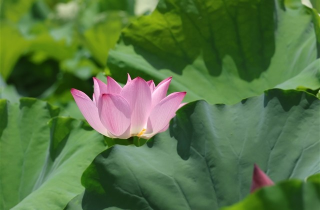 可爱的女生微信名字萌萌哒 可爱的女生微信名字萌萌哒