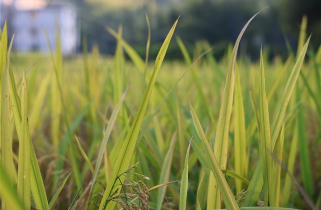 可爱的女生微信名字萌萌哒 可爱的女生微信名字萌萌哒