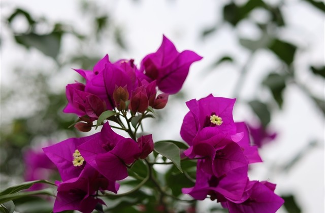 充满热血的网名