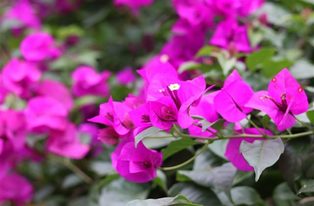 年最好听的网名(共1369个) 年最好听的网名(共1369个)