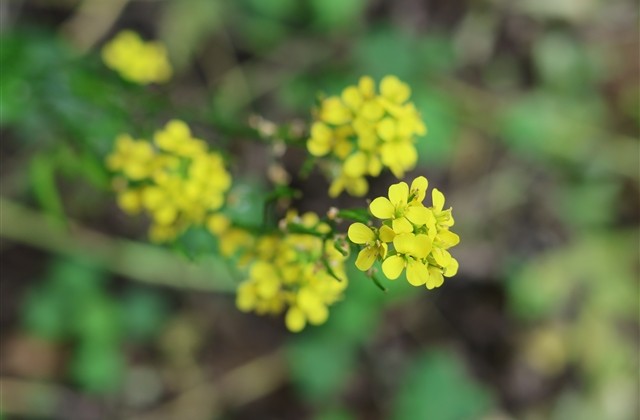 吸引人的微信名字 吸引人的微信名字