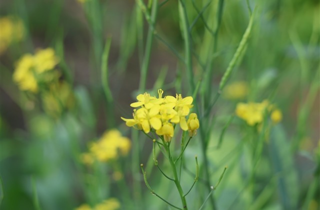 吸引人的微信名字 吸引人的微信名字
