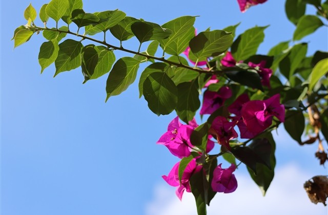 超拽霸气游戏昵称大全 超拽霸气游戏昵称大全