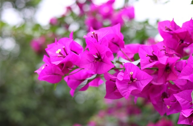 微风霸气的名字 微风霸气的名字