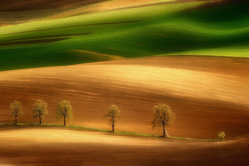 爱国的名言名句78句