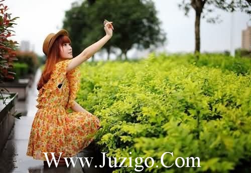 爱国名诗句50句