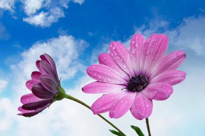 ​简短的名人名言大全100句