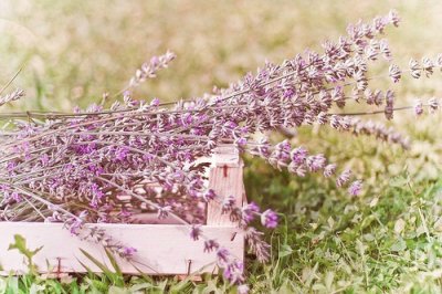 ​朋友相聚把酒言欢的经典诗句(47句)