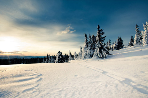 描写美人美景的诗句34句