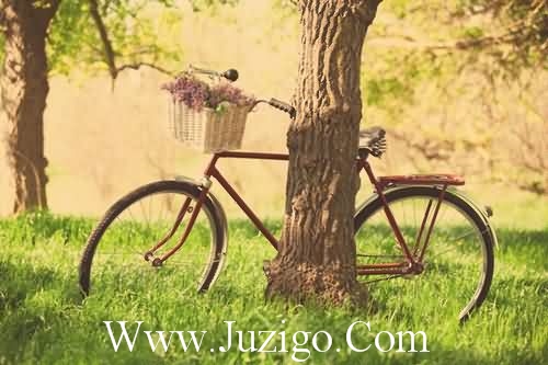 有关积累的名言76句