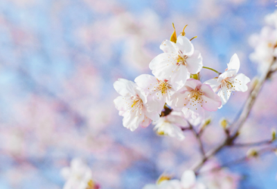 ​爱国主义的诗句