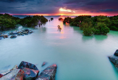 ​赞美冬天的诗句