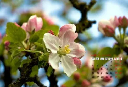 1689522893853578.png image.png