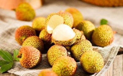 ​荔枝图序文言文翻译