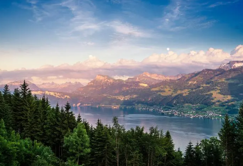 1687288832279921.png image.png