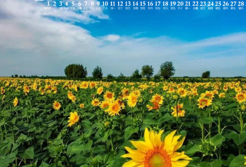 1687002818138674.png image.png