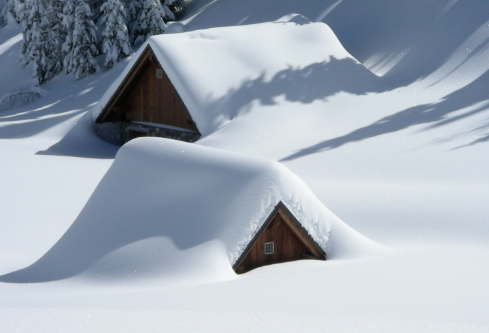 1687294326131092.png image.png