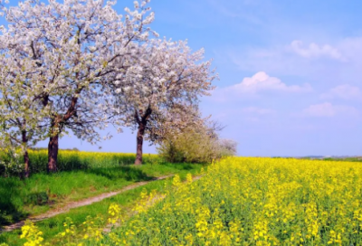 ​描写星星的诗句有哪些（带星的古诗词8首）