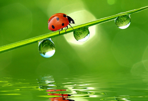 1685410515458632.png image.png