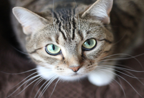 1685423296107020.png image.png