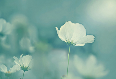 1689437377854180.png image.png