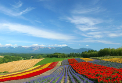 ​表达志向的诗句