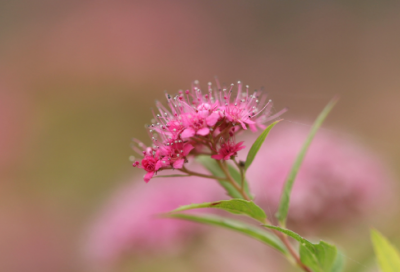 ​七夕情人节古诗句大全
