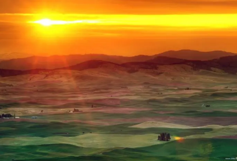 1689538817136199.png image.png