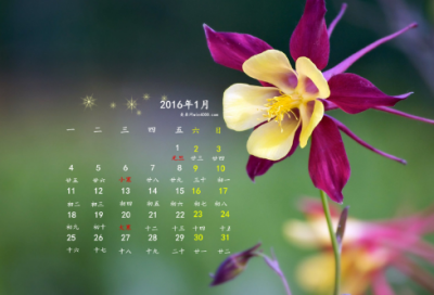 ​爱情诗句文案（经典爱情诗词名句）