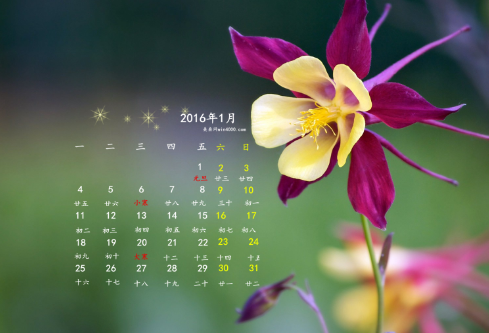 1687006937101249.png image.png