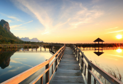 ​描写品茶的诗句（茶道感悟人生的句子）