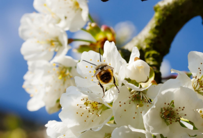 ​想念一个人的诗句经典（表达想念的诗词）