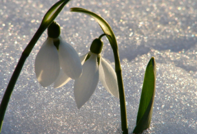 ​白露诗词赏析（有关白露节气唯美诗句）