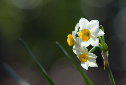 1689544120663937.png image.png