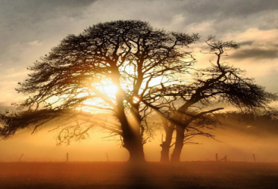 ​立春的图片和句子（最值分享的十首立春诗词）