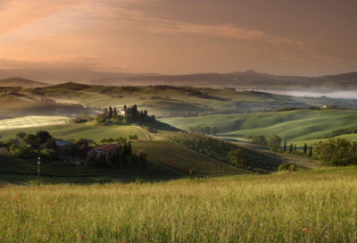 ​关于蝉的诗句有哪些（赞美蝉的诗句经典）