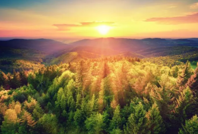 ​有哪些意难平的诗句（很遗憾意难平的文案）