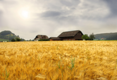 ​劝君莫惜金缕衣的意思（金缕衣古诗赏析）