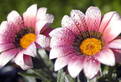 ​描写战争的古诗有哪些（征战沙场霸气的诗词）