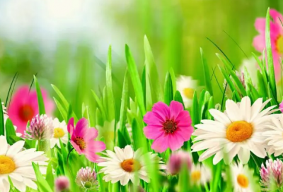 ​儿童急走追黄蝶的全诗翻译（宿新市徐公店古诗赏析）