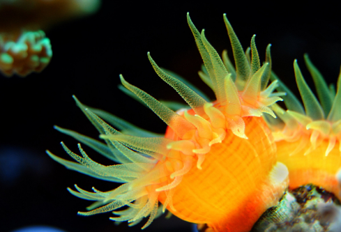 1688661118440042.png image.png