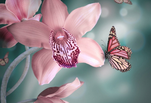 1688658786284310.png image.png