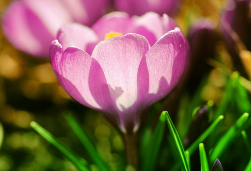 1688665617103276.png image.png