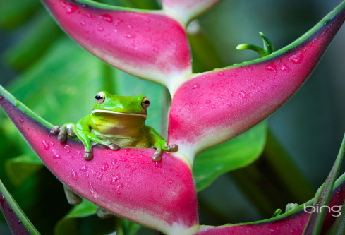 1688660451840884.png image.png