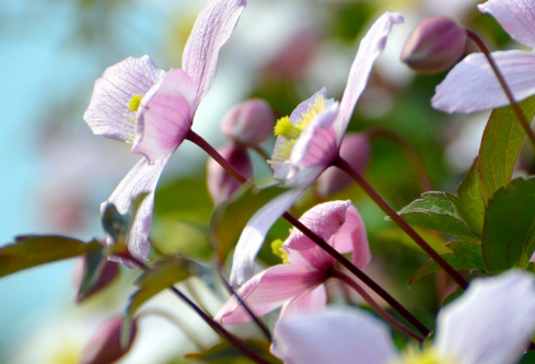 1688646088866444.png image.png