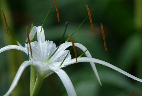 1688672613790063.png image.png