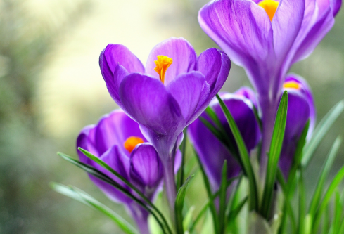 1688693102893425.png image.png