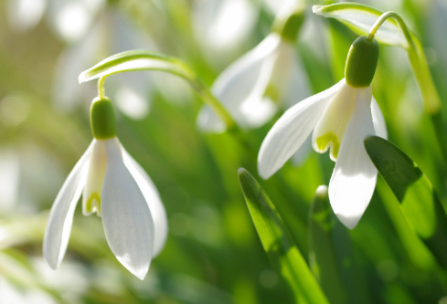 1688692768231252.png image.png